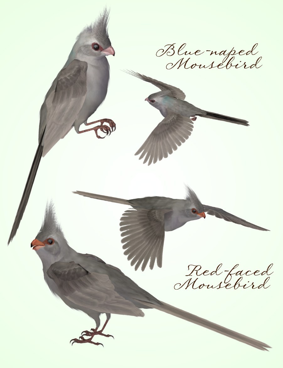 Songbird ReMix Tinkerbirds & Mousebirds by N/A