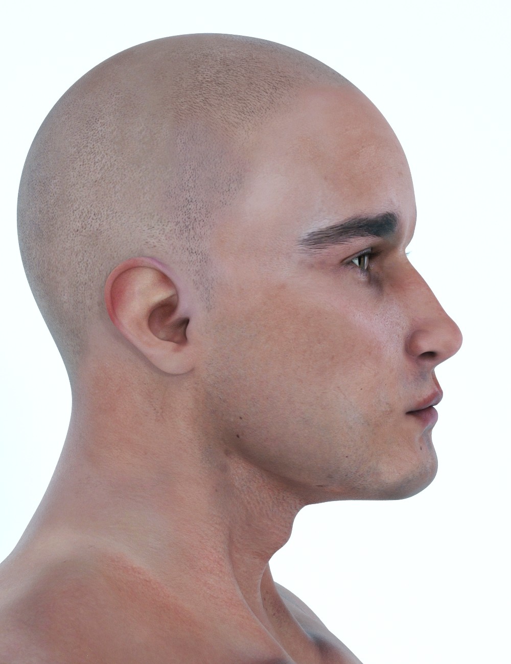 T3d Hector L'Homme 2 by N/A