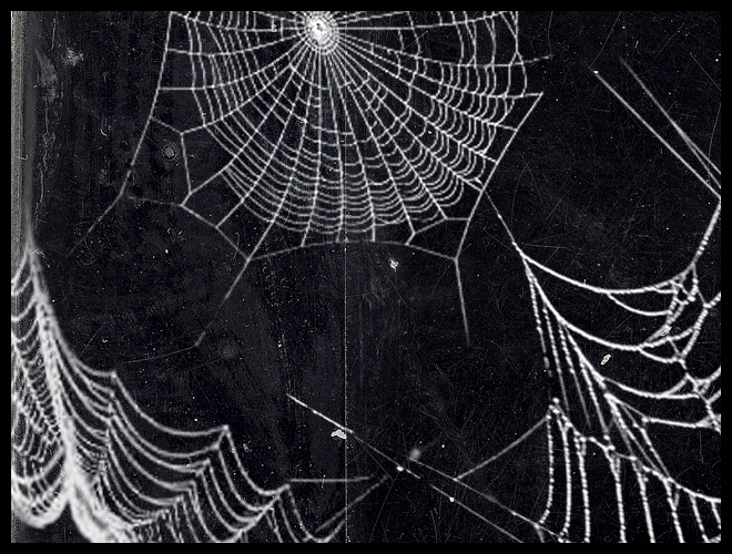 Spider Web .psd Files 2D Themed Raptura