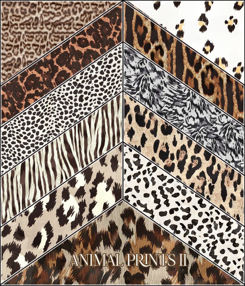 FS Animal Prints II by N/A