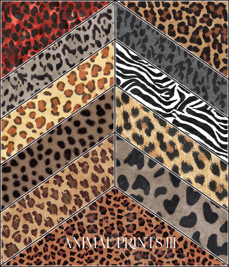 FS Animal Prints III by N/A