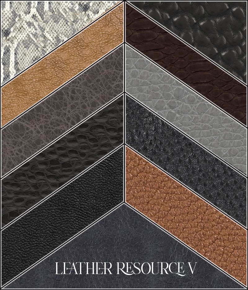 FS Leather Resource 5 by N/A