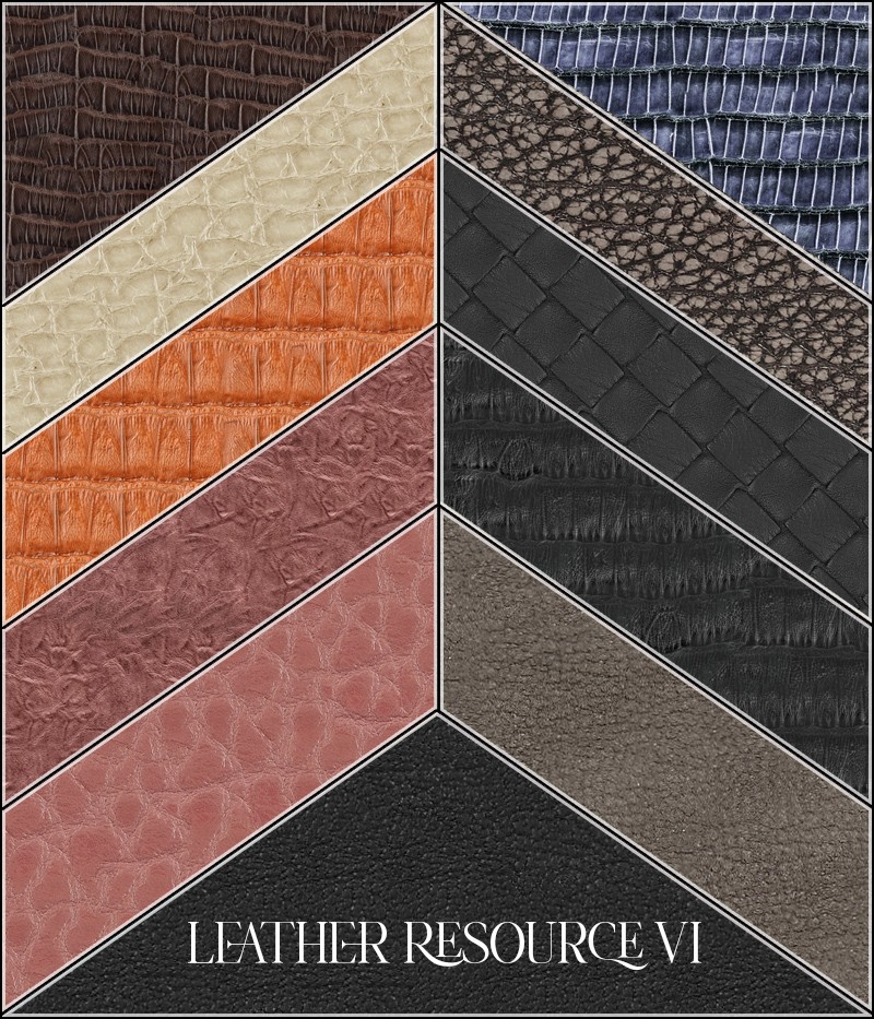 FS Leather Resource VI by N/A