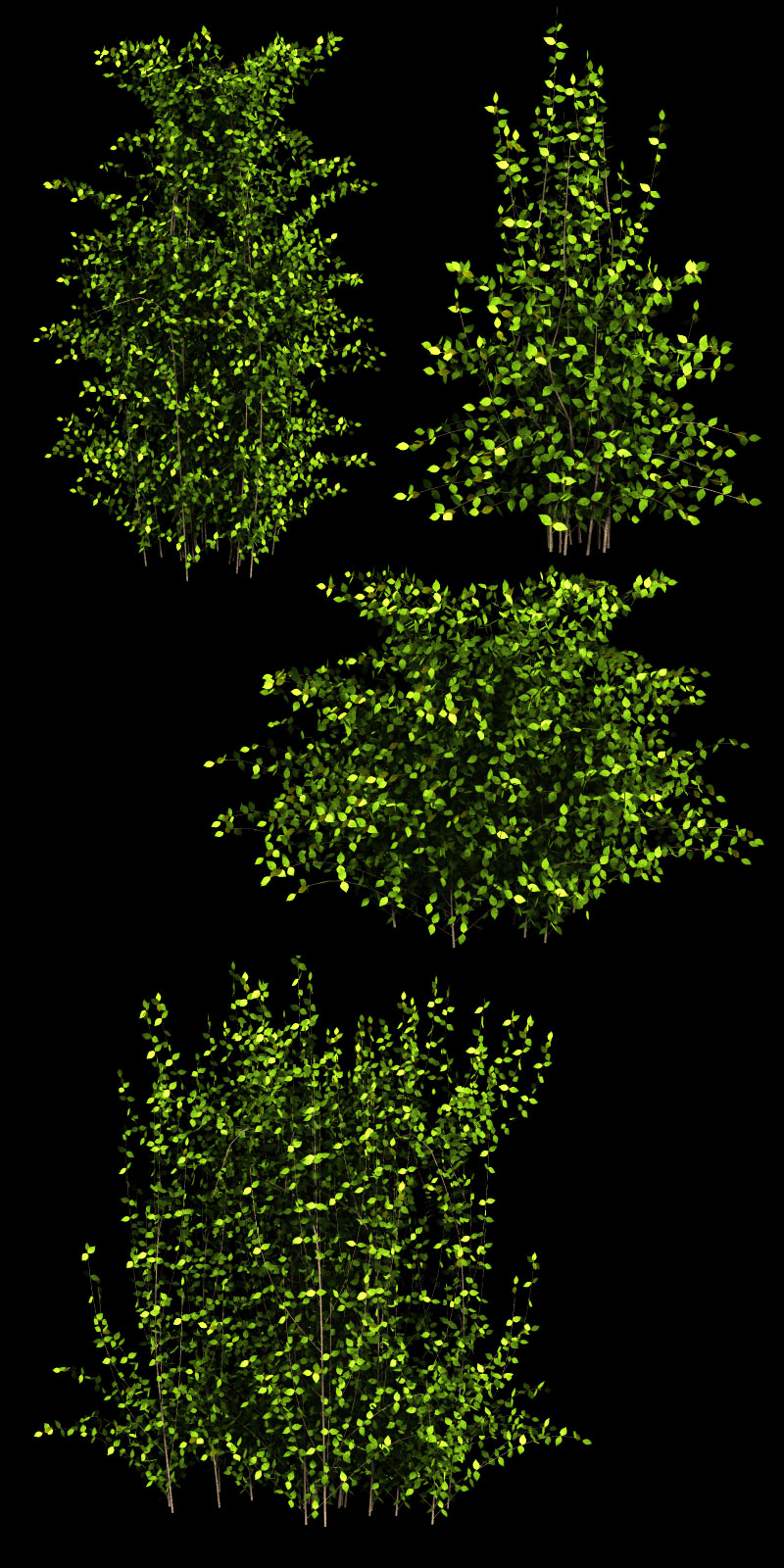 Dense Foliage 3D Models designfera
