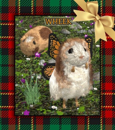 Wheek