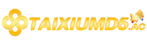 taixiumd5ac2024